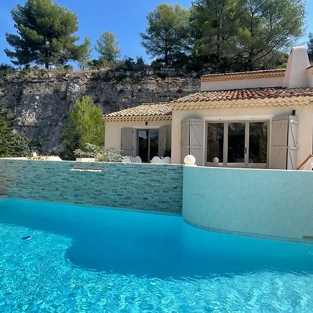 La Villa Des Carriers- Maison Avec Piscine Proche Mer Roquefort-les-Pins Exterior photo